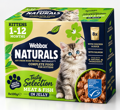 Webbox Natural Wet Food for Kittens in Jelly