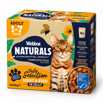Webbox Naturals Wet Adult Cat Food in Jelly 100g
